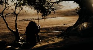 300